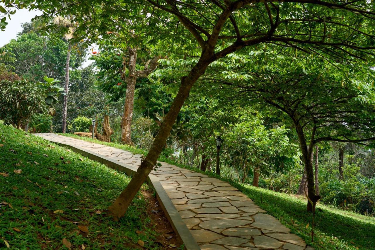 Haze And Kites Resort Munnar Eksteriør billede