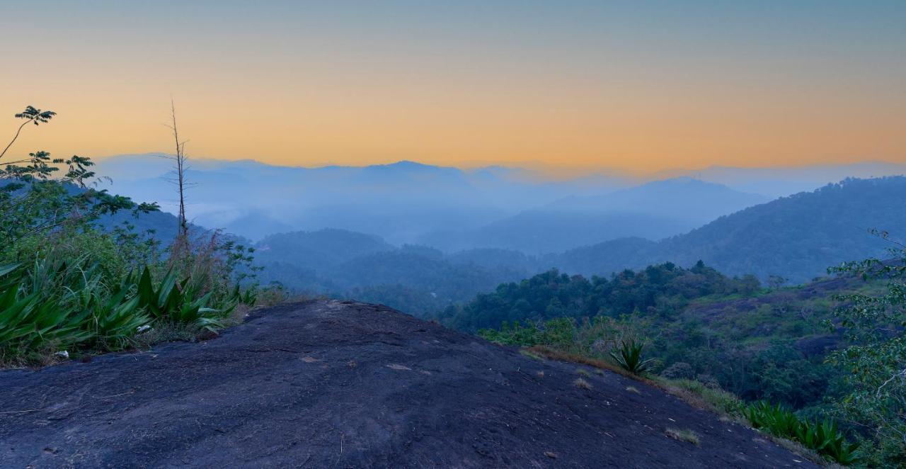 Haze And Kites Resort Munnar Eksteriør billede