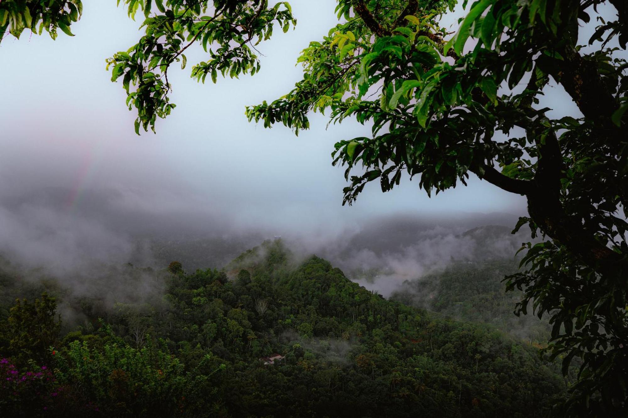 Haze And Kites Resort Munnar Eksteriør billede