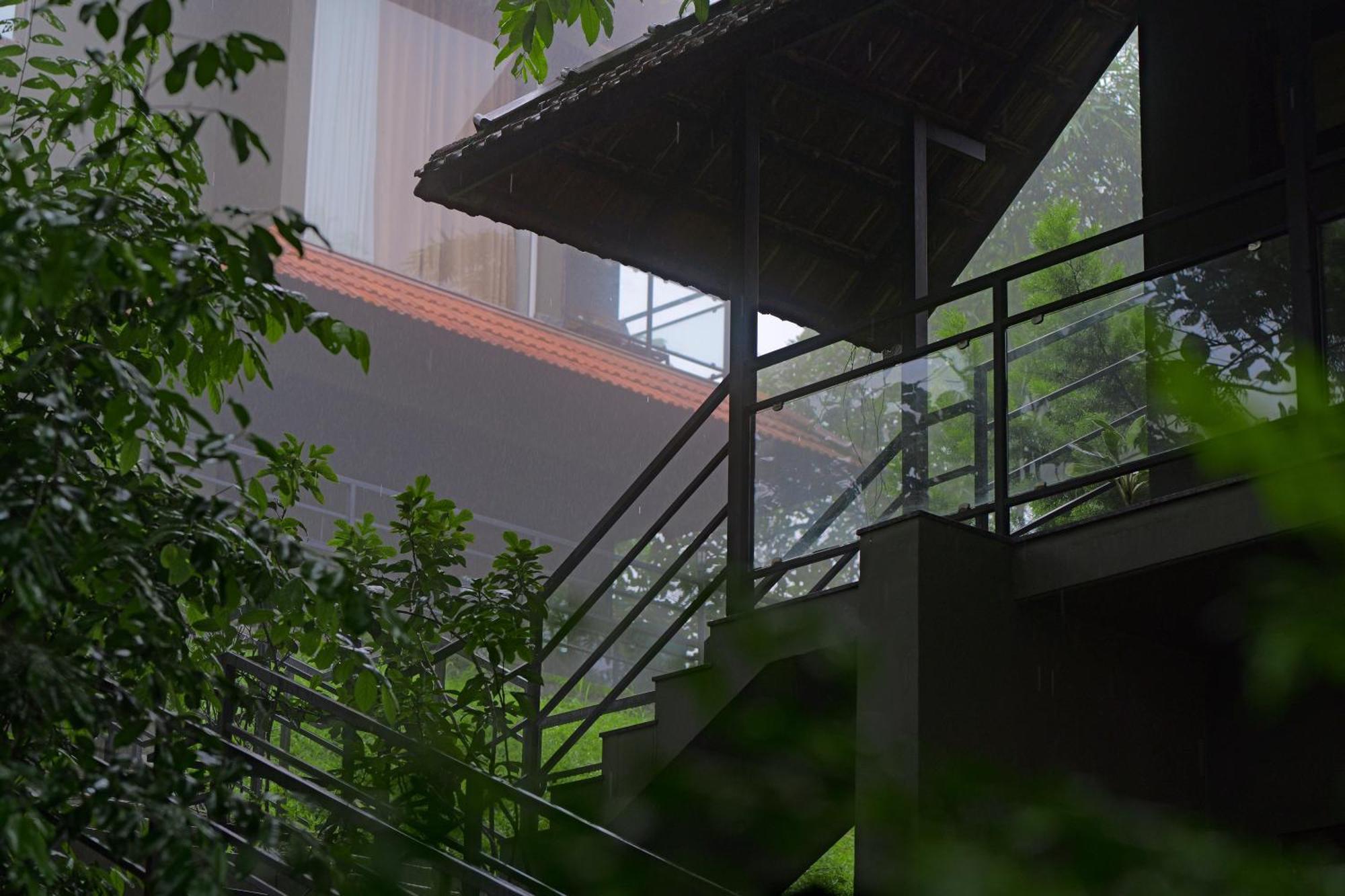 Haze And Kites Resort Munnar Eksteriør billede